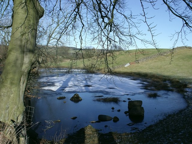 Frozen Pond near Banton