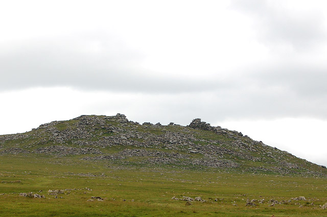 The northern flank of Rough Tor