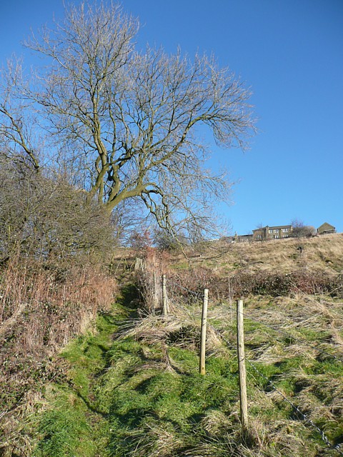 Footpath Up The Hillside Siddal © Humphrey Bolton Geograph