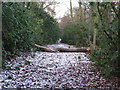 Path near the River Clyde