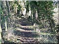 Bridleway near Fyfield