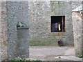 Horse in a stable, Elberry farm, Churston