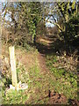 Footpath to Martley