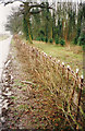 Hedge Laying 1995