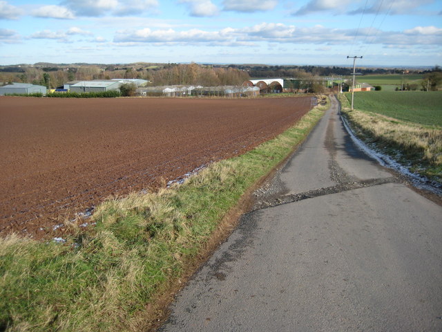 Road to Berrow Farm