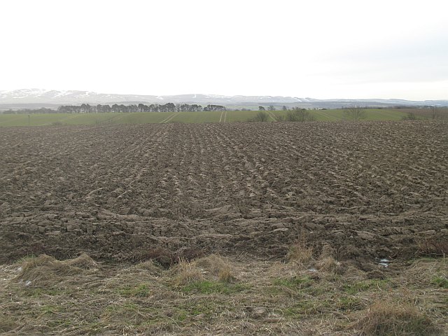 Ploughed field, Ugstonrigg