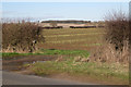 Gaps in hedges north of Ham Barn