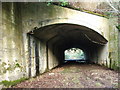 Disused Railway