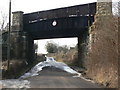 SK4963 : Bridge at Newboundmill Farm by Alan Murray-Rust