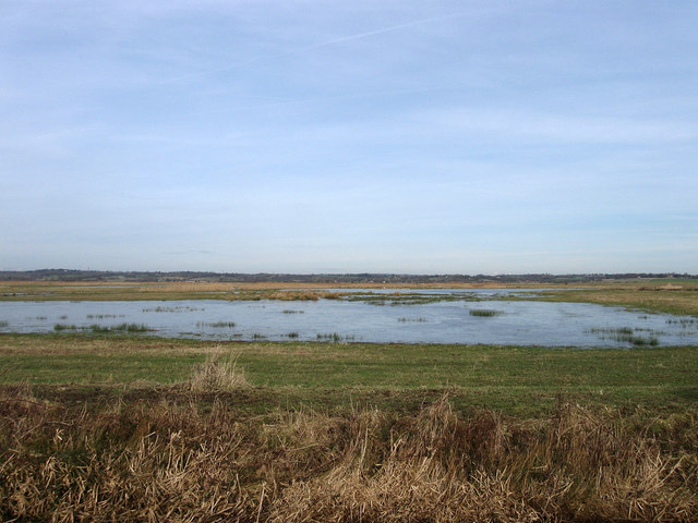 Further Marsh