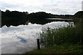 Budworth Pool