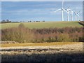 Stubble and windmills, Round Robin Farm