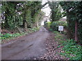 Bridleway and private road to Whitebeams