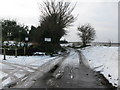 Willowbank Nurseries at southern end of High Street