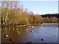 Etherow Country Park Lake