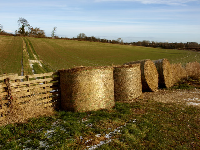 Wolds' Bales