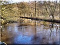 Etherow Country Park