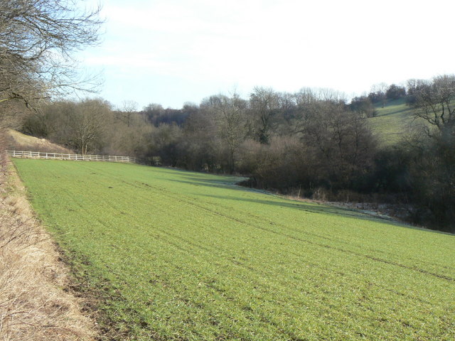 Valley near Pleasley
