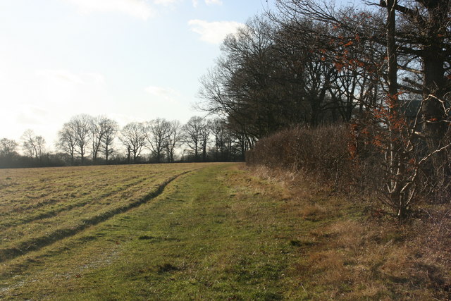 High Weald Landscape trail follows the hedge near North Clays