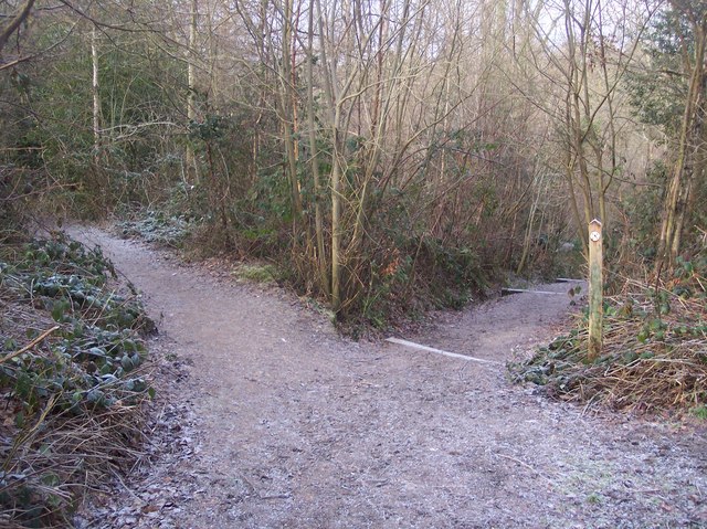 Footpath junction near Birch Wood (2)