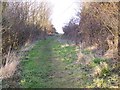 Footpath, Kingstone Winslow