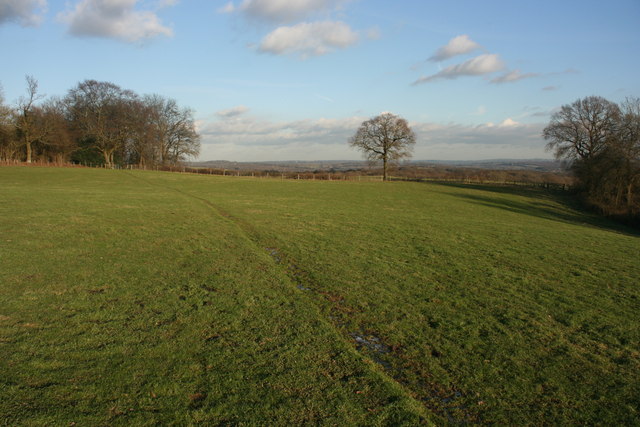 Footpath across a field