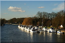 TQ1568 : River Thames From Hampton Court Bridge by Peter Trimming