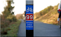J4173 : National Cycle Network sign, Dundonald by Albert Bridge