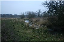 TG2105 : River Yare at Marston Marshes by Katy Walters