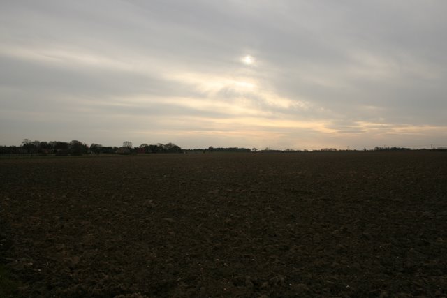 Farmland, south of Happisburgh