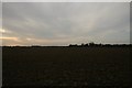 Farmland, south of Happisburgh