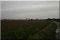 Towards Happisburgh Common