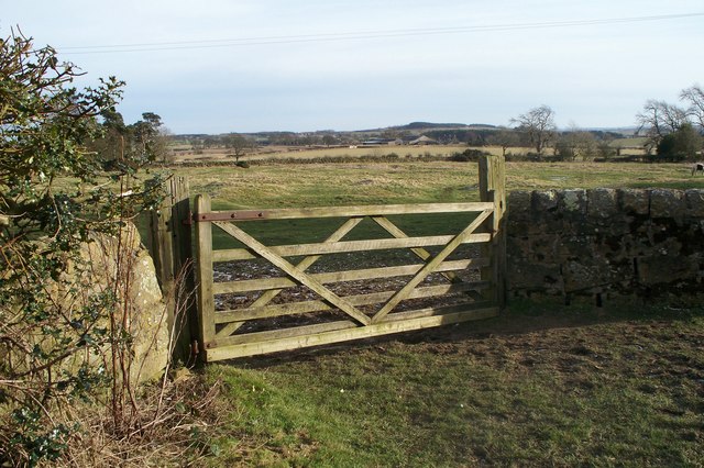 View across farmland