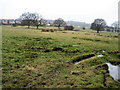 Path to Whalley Nab