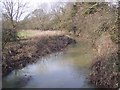 River Eden - upstream