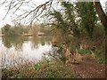 One of Dunwear Ponds