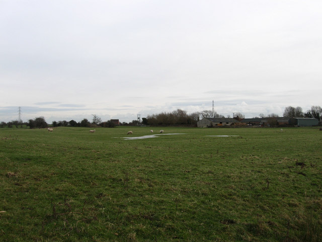 Rickney Marsh