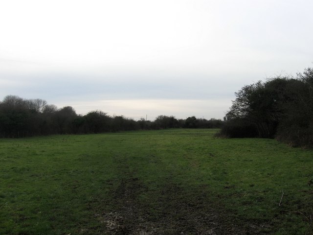 Road Marsh