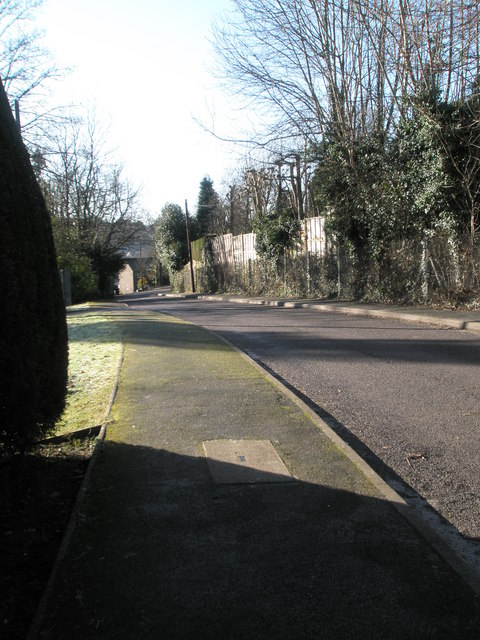 Mid section of Vicarage Lane