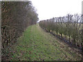 Footpath around Harefield Park