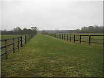 TL6356 : Horse fencing by Hugh Venables