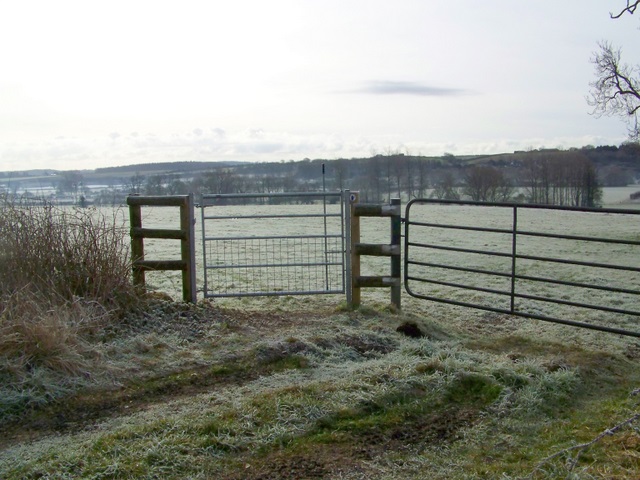 Bridleway gate, Tarrant Crawford