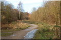 Trackbed of ex-Great Central Railway north of Hillmorton Road