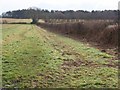 Bridleway near Slepe