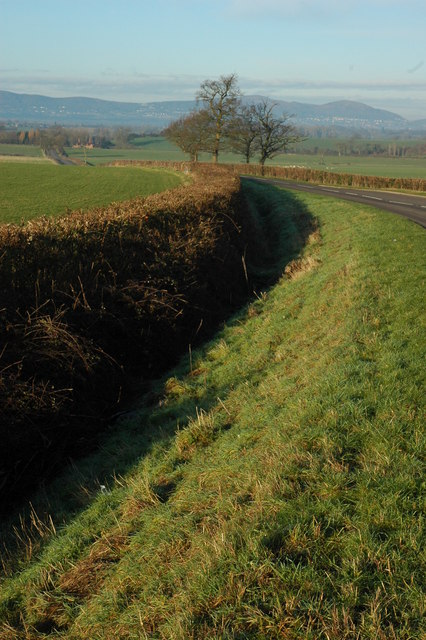 Hedge and ditch beside the road at Strensham