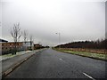 Green Lane, just before the junction with Junction Close