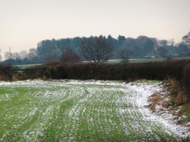 Field boundary outlined by snow and hedge, Snydale