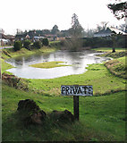 TG1607 : Pond by Laburnum Cottage in Green Lane by Evelyn Simak
