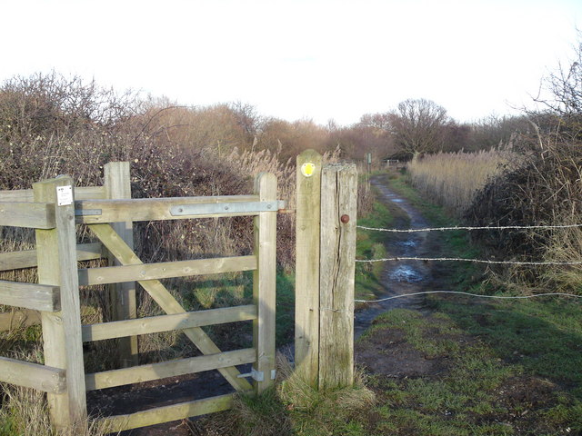 Foot path from Solent Way towards Hook