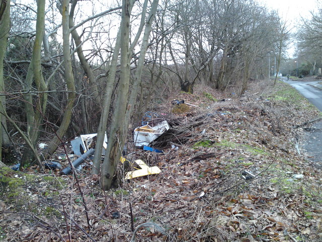 Fly tipping on Botley road